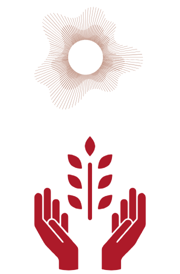 grafik hsp